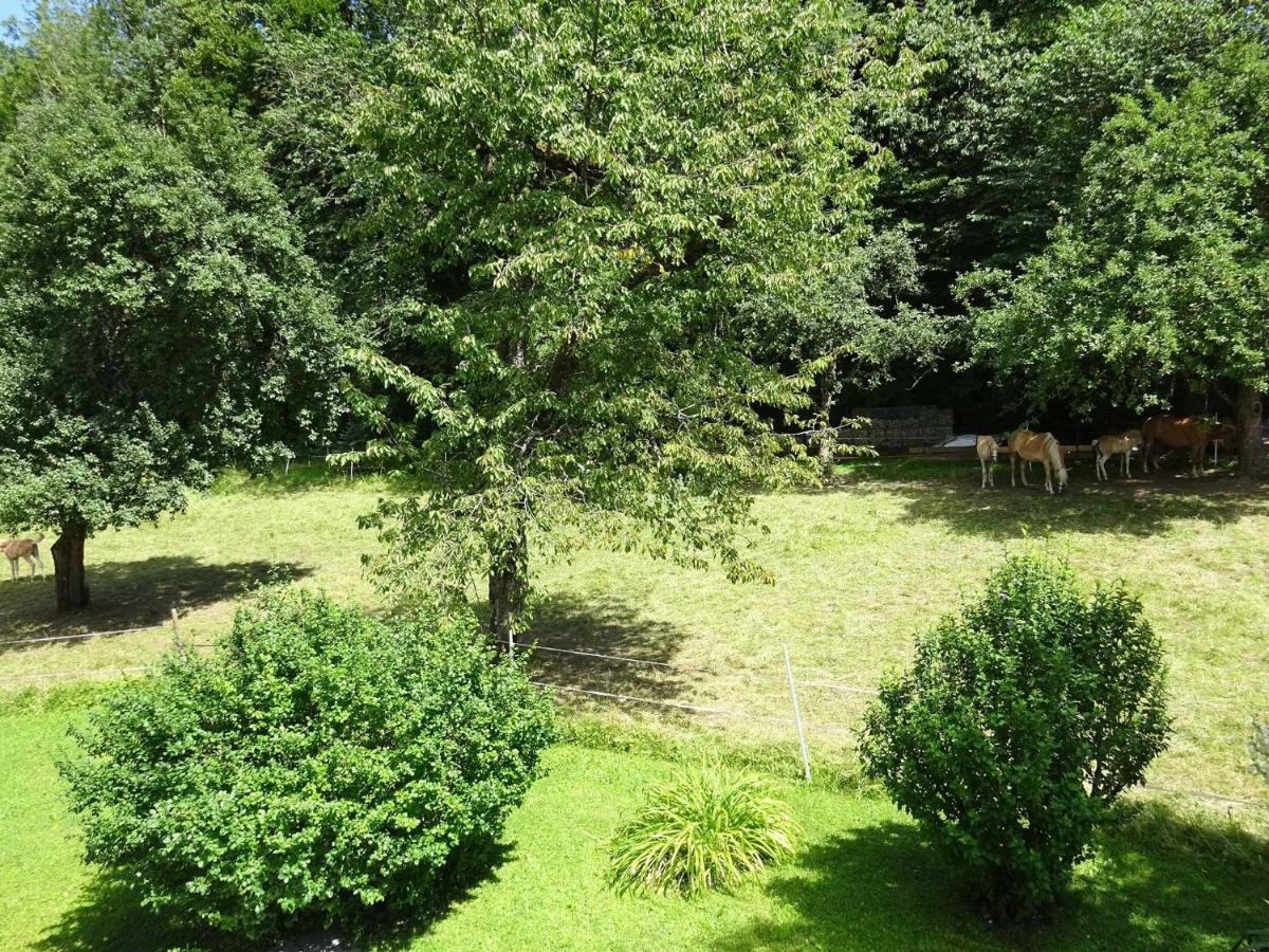 Ferienwohnungen Auhaus Bad Reichenhall Exterior foto