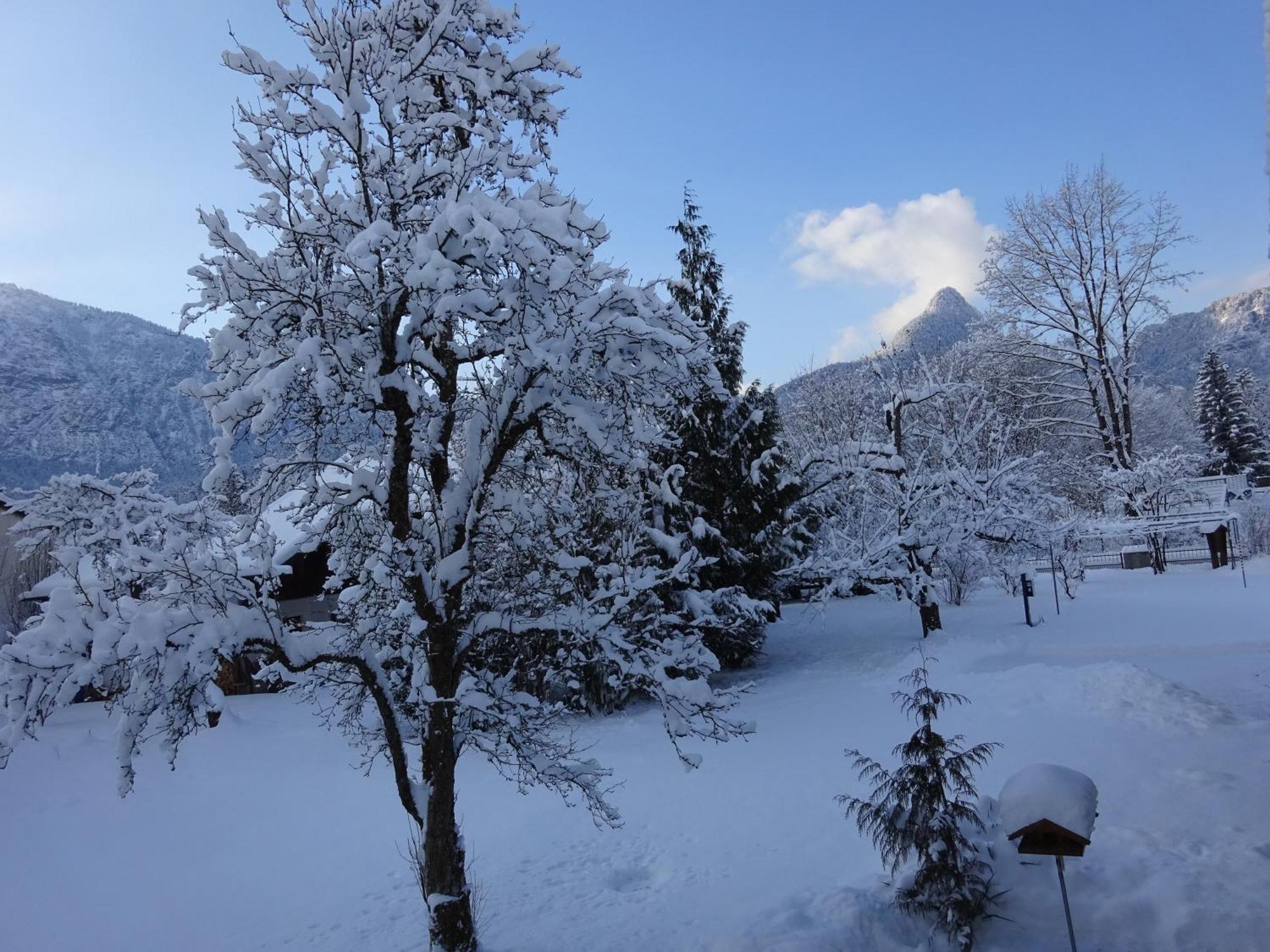 Ferienwohnungen Auhaus Bad Reichenhall Exterior foto