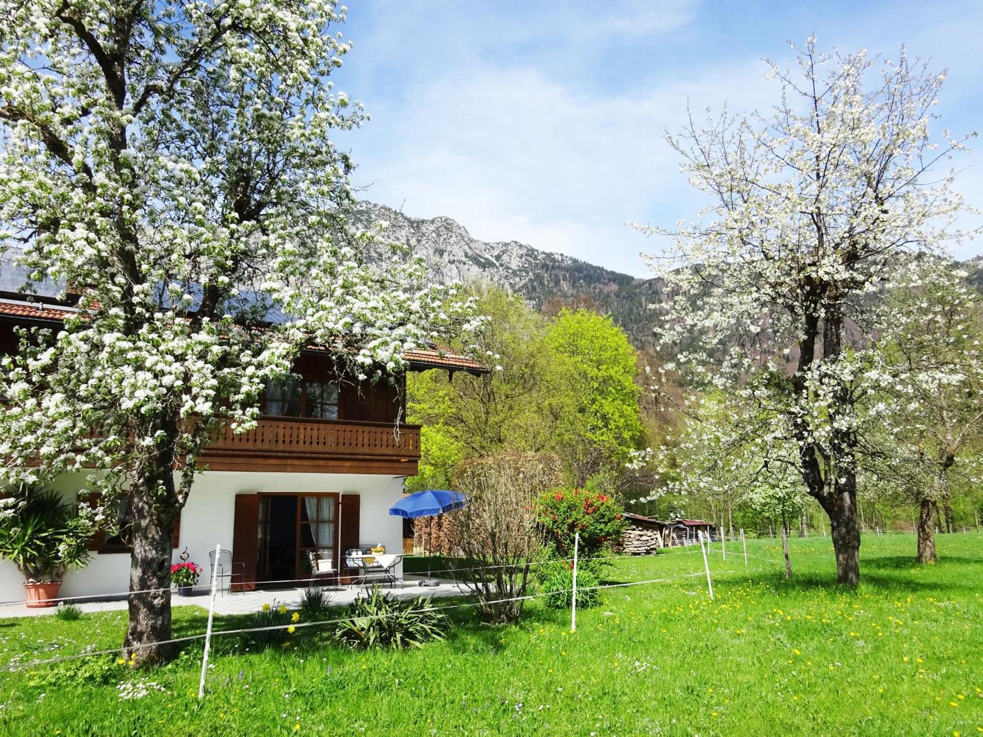 Ferienwohnungen Auhaus Bad Reichenhall Exterior foto