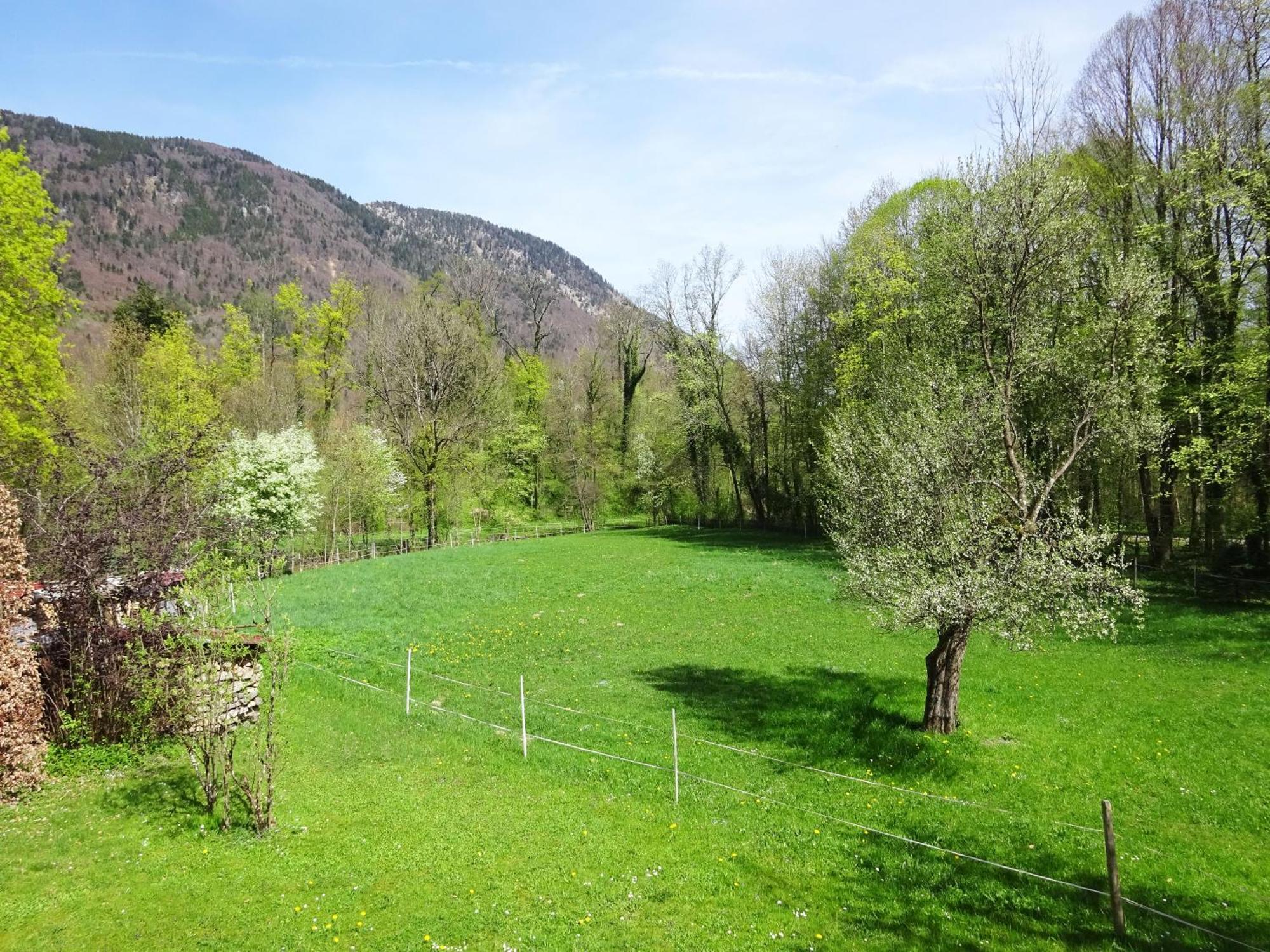 Ferienwohnungen Auhaus Bad Reichenhall Exterior foto